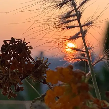 빌라 Amantella
